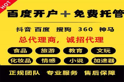 SEM服务公司助力企业竞争案例